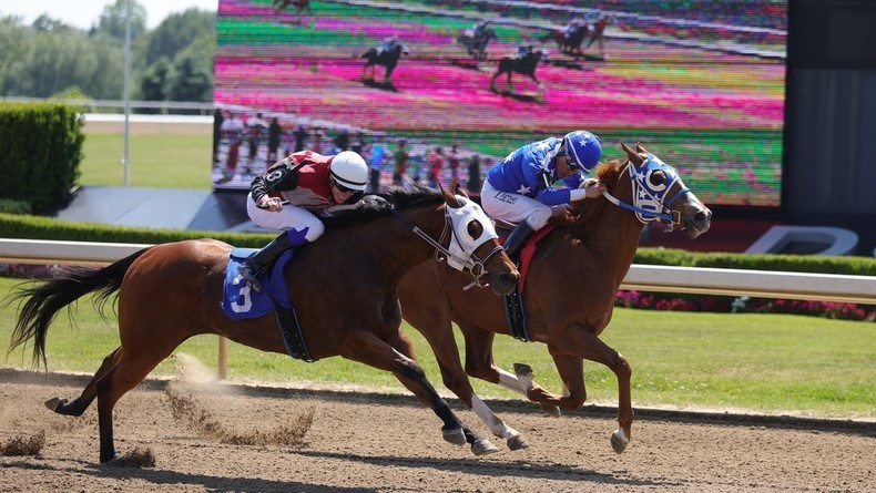 Finding value for your $2 bet in Ajax Downs' Ontario Bred Derby