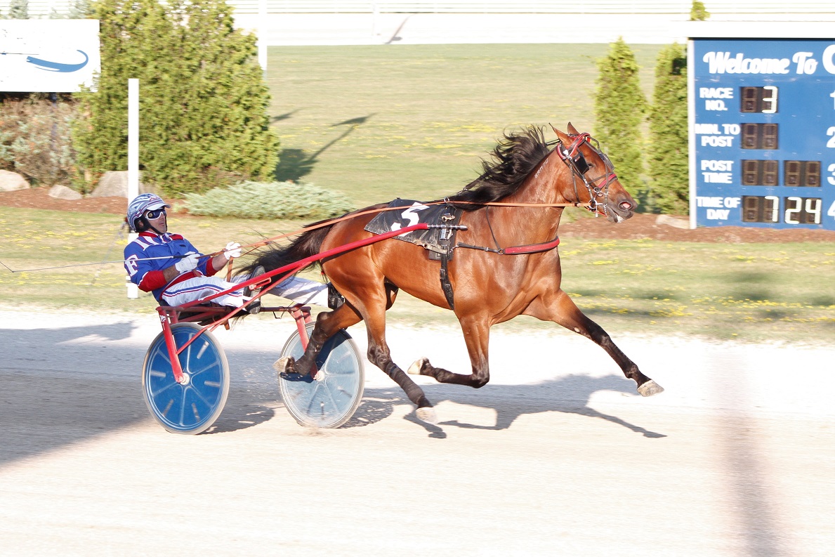 Trotting fillies make winning look easy in Elora