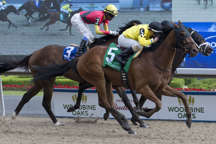 Holy Helena erupts in Woodbine Oaks / Guy Caballero pulls 20-1 shocker in Plate Trial