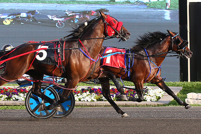 Tattoo Artist And Beaumond Hanover Repeat In Gold Series Ontario Racing