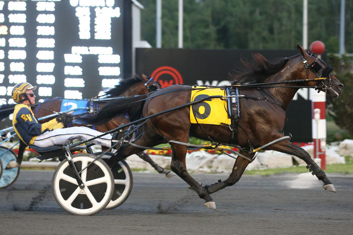 Gold Series colts raise the bar in round two