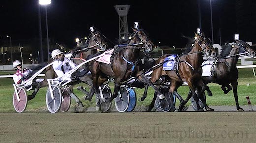 Ontario Represents in Crown