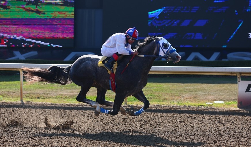 Thoroughbreds vs Quarter Horses and Alex Picov Futurity Highlight Closing Day!