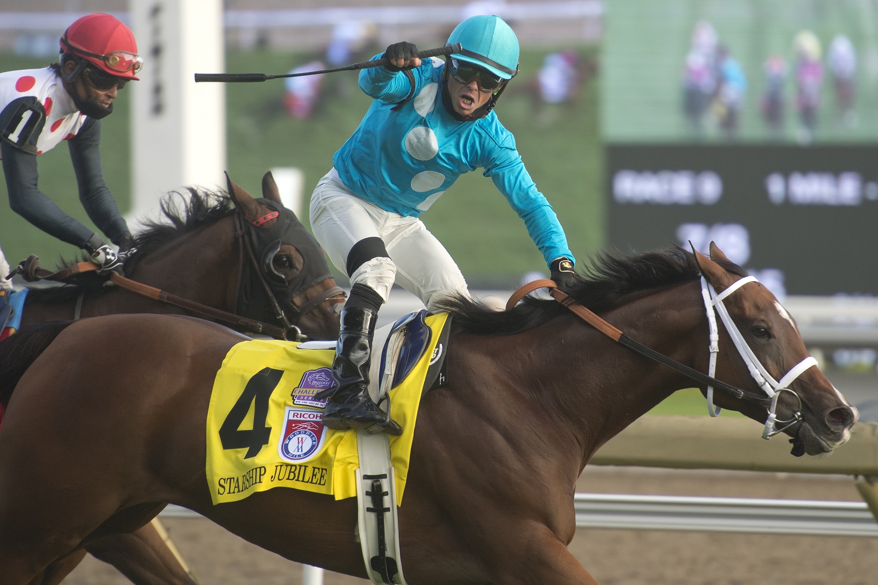 Woodbine’s 2021 Breeders’ Cup “Win and You’re In” Challenge Series races to be run without Lasix