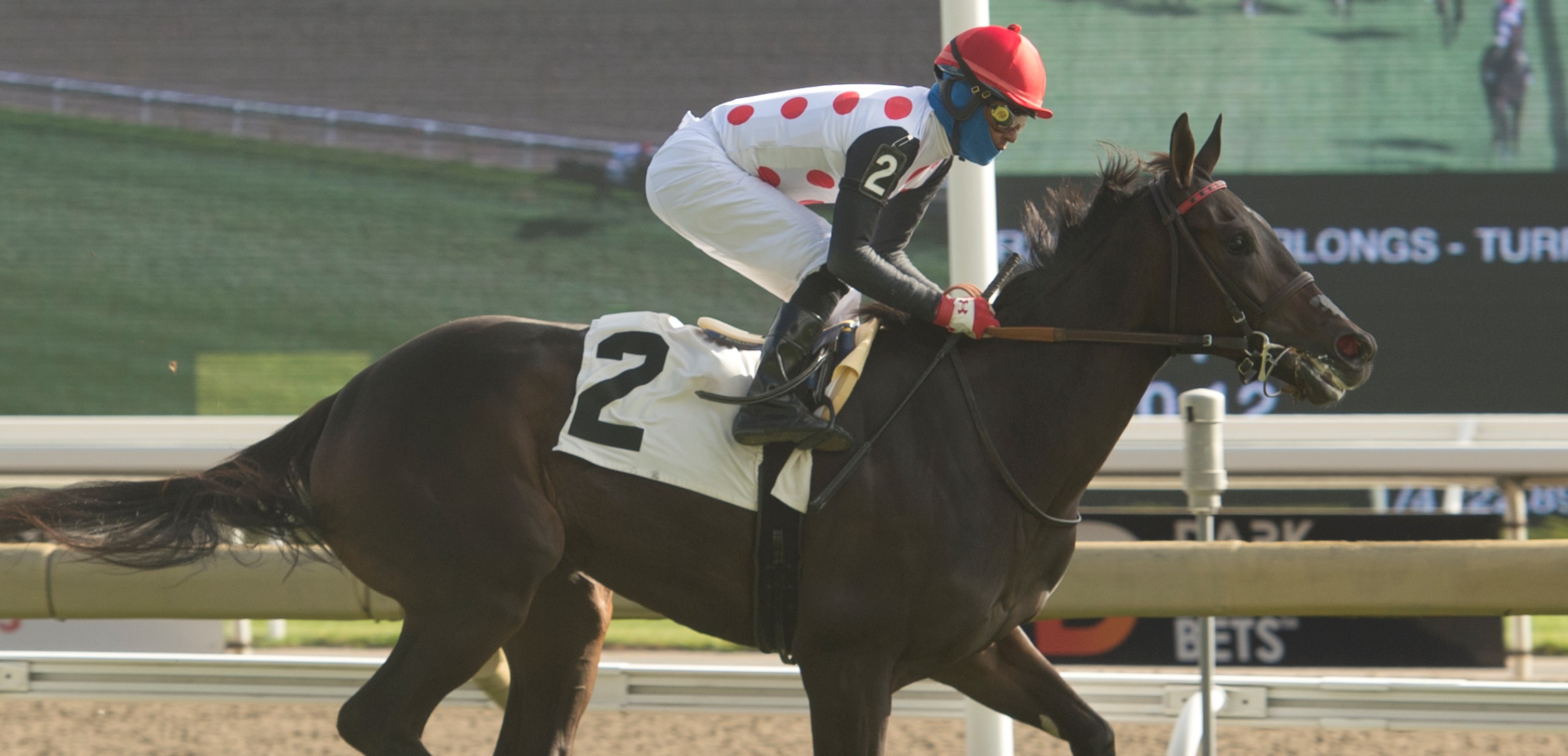 Who is the Fastest Horse: Using Speed Figures in Handicapping