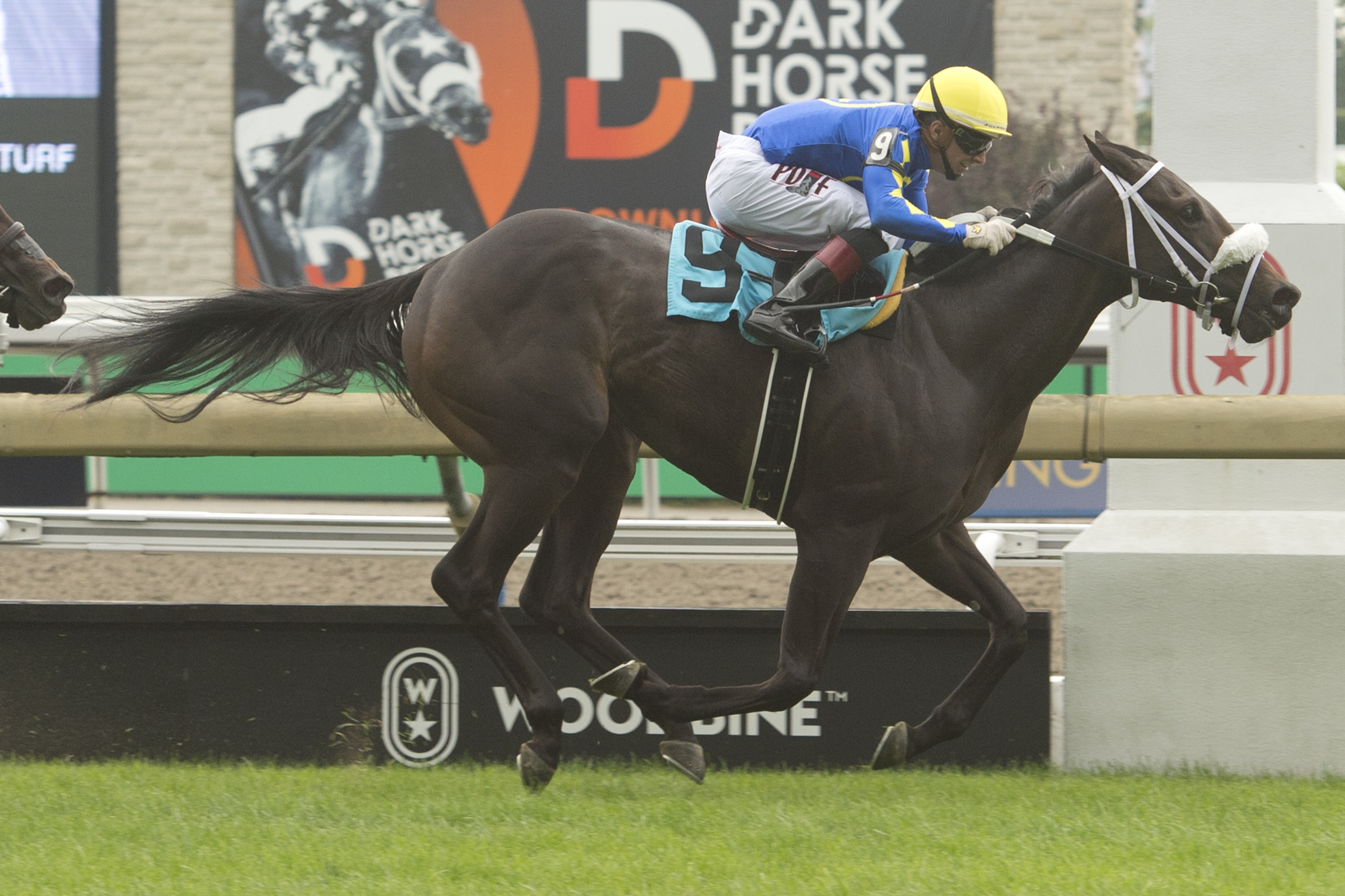 Airosa and jockey Rafael Hernandez winning the Catch a Glimpse Stakes on August 20, 2023 (Michael Burns Photo)