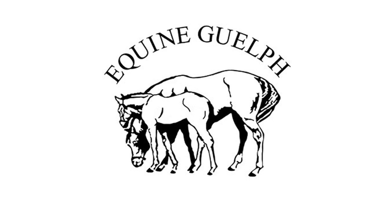 Free Courses for Ontario Racing Industry – Instructors Announced!