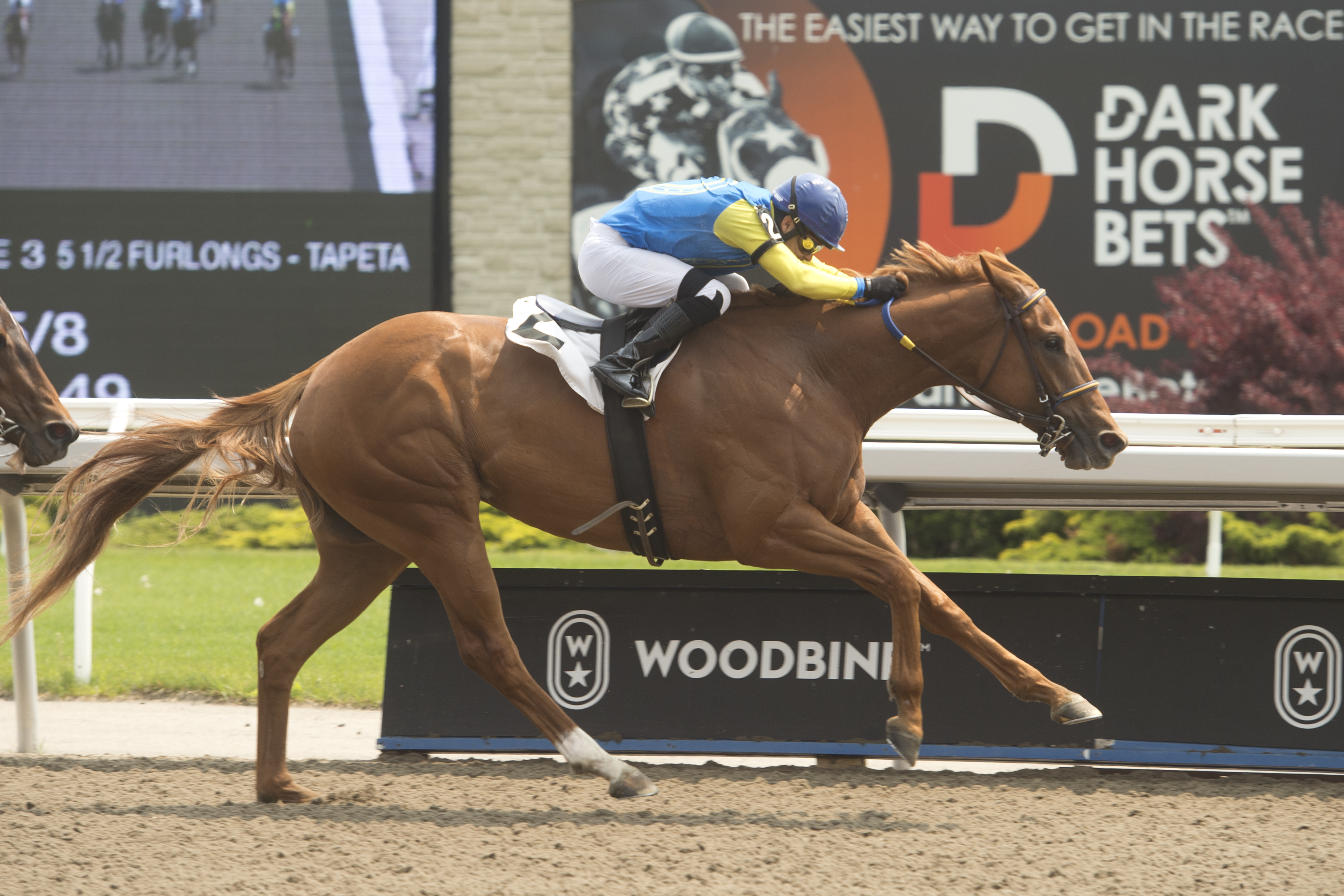 Georgian Bay, Lake Huron Kick Off Ontario Sire Heritage Series