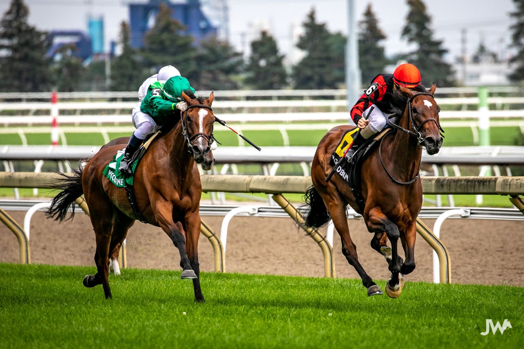 Jennifer Morrison’s Woodbine Thoroughbred Selections Friday, June 25