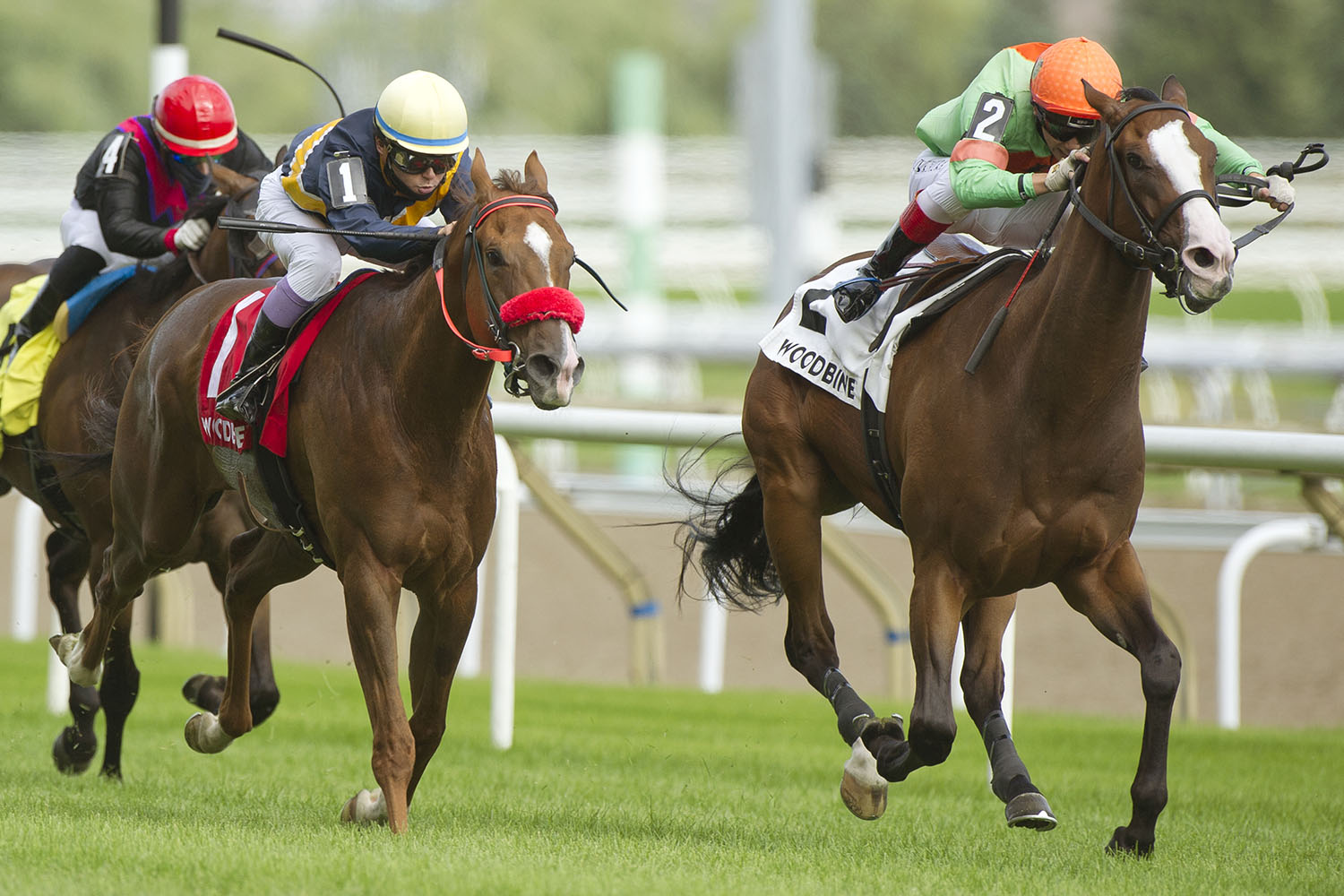 Forester’s Turn looks to turn it up in Vice Regent Stakes