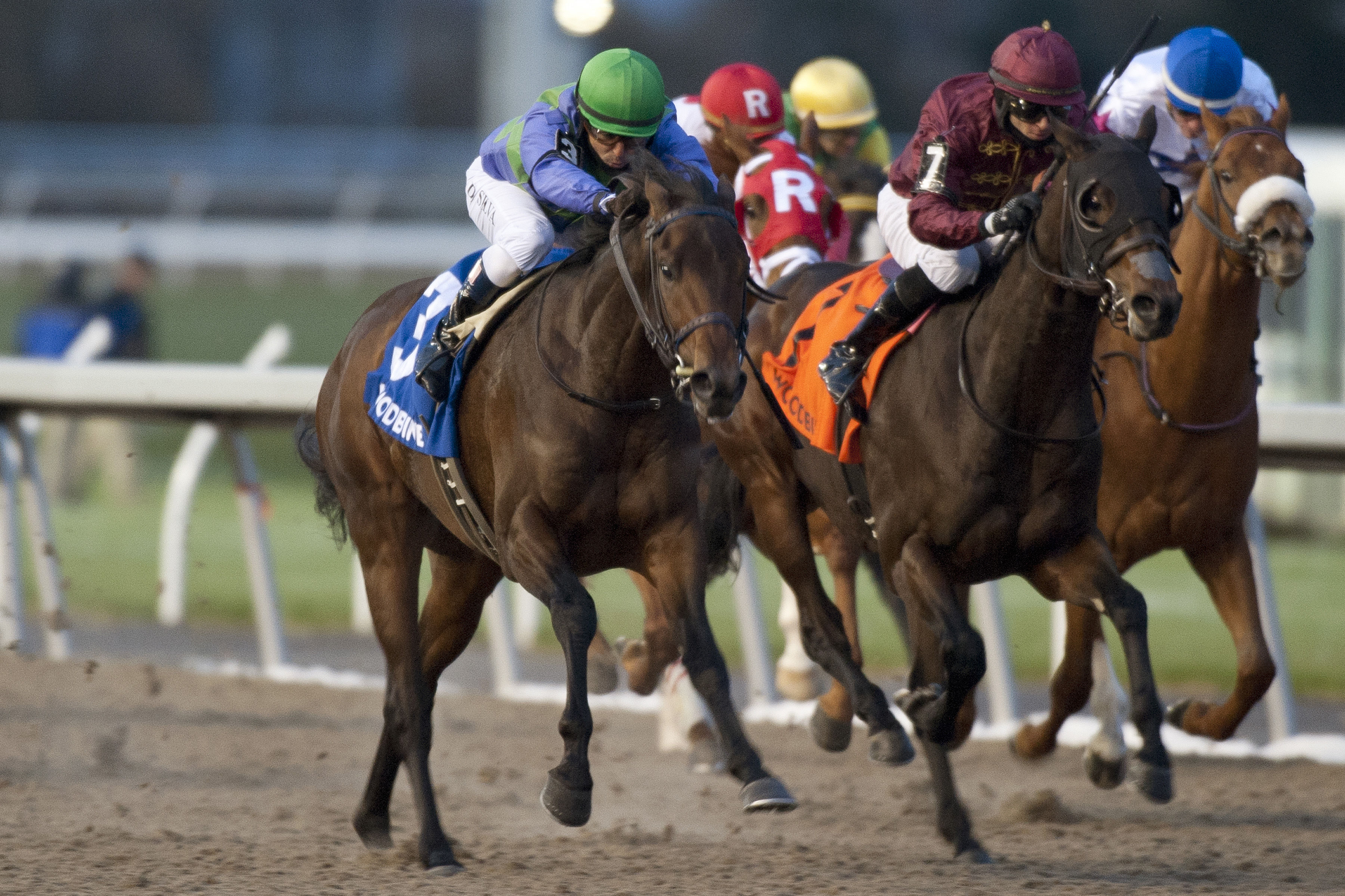 Avie’s Flatter crowned Coronation Futurity champion