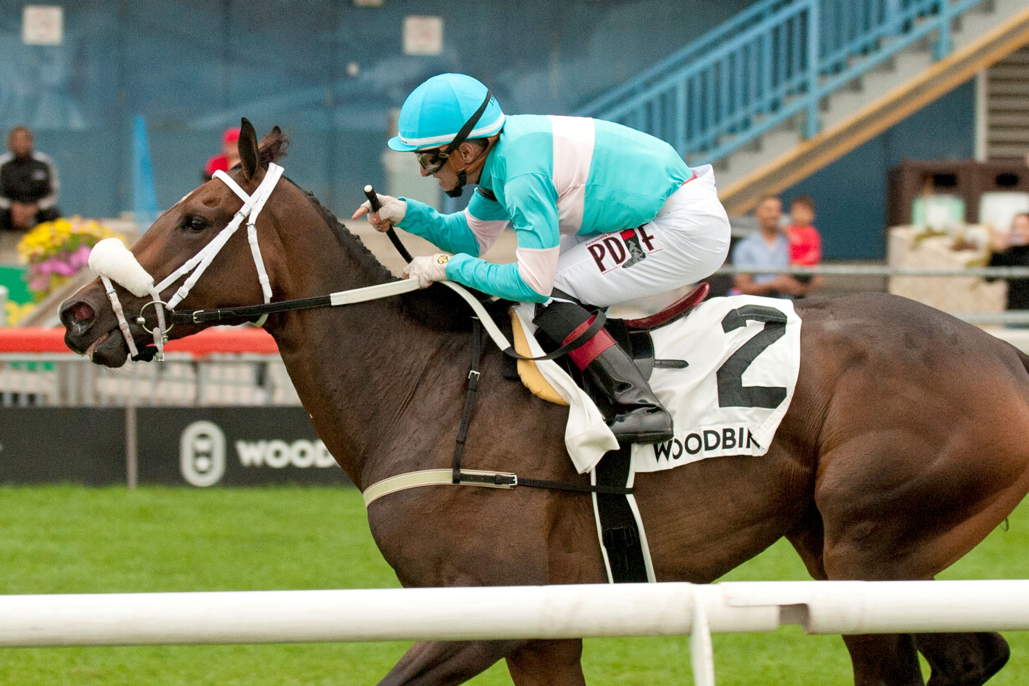 Moira and jockey Rafael Hernandez winning the Canadian Stakes on September 9, 2023 at Woodbine (Michael Burns Photo).