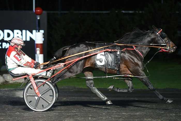 Musical Rhythm rocks to Preferred victory