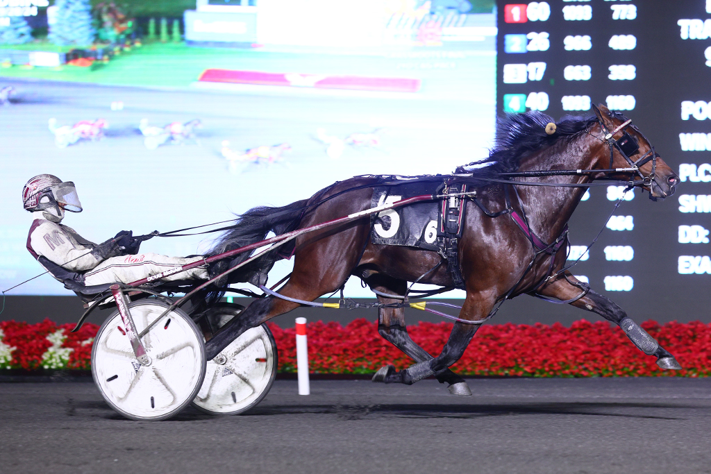 Crack Shot impressive in rookie pacing colts Grassroots Final