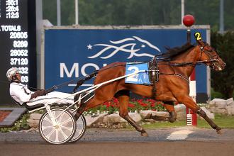 Ontario Racing Trivia Contest: Week 11