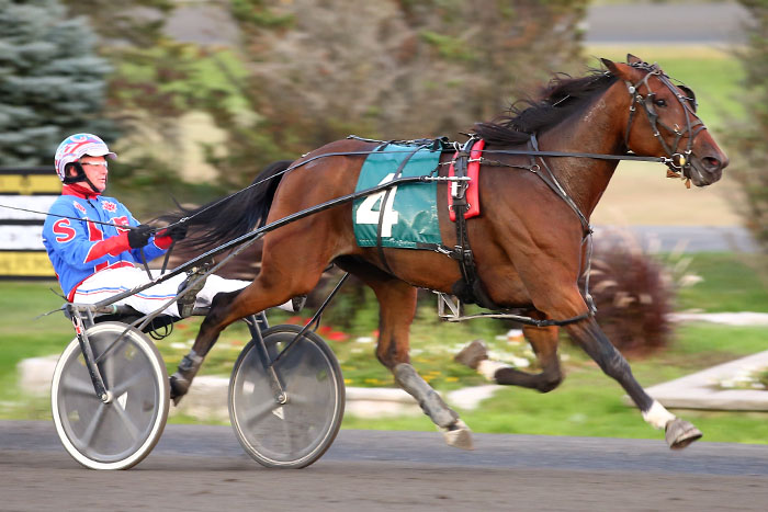Trotting colts wrap up 2020 Grassroots regular season - Ontario Racing
