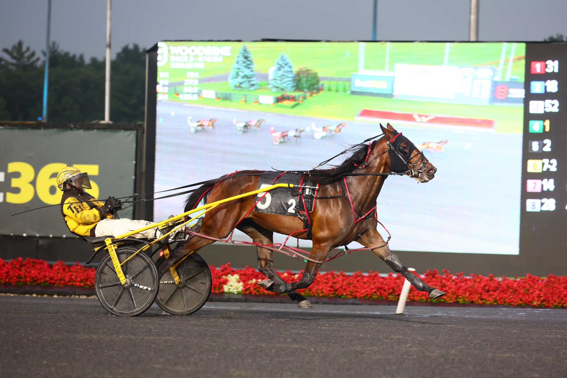 Three-Year-Olds show out in Prospect Series Finals at Grand River Raceway