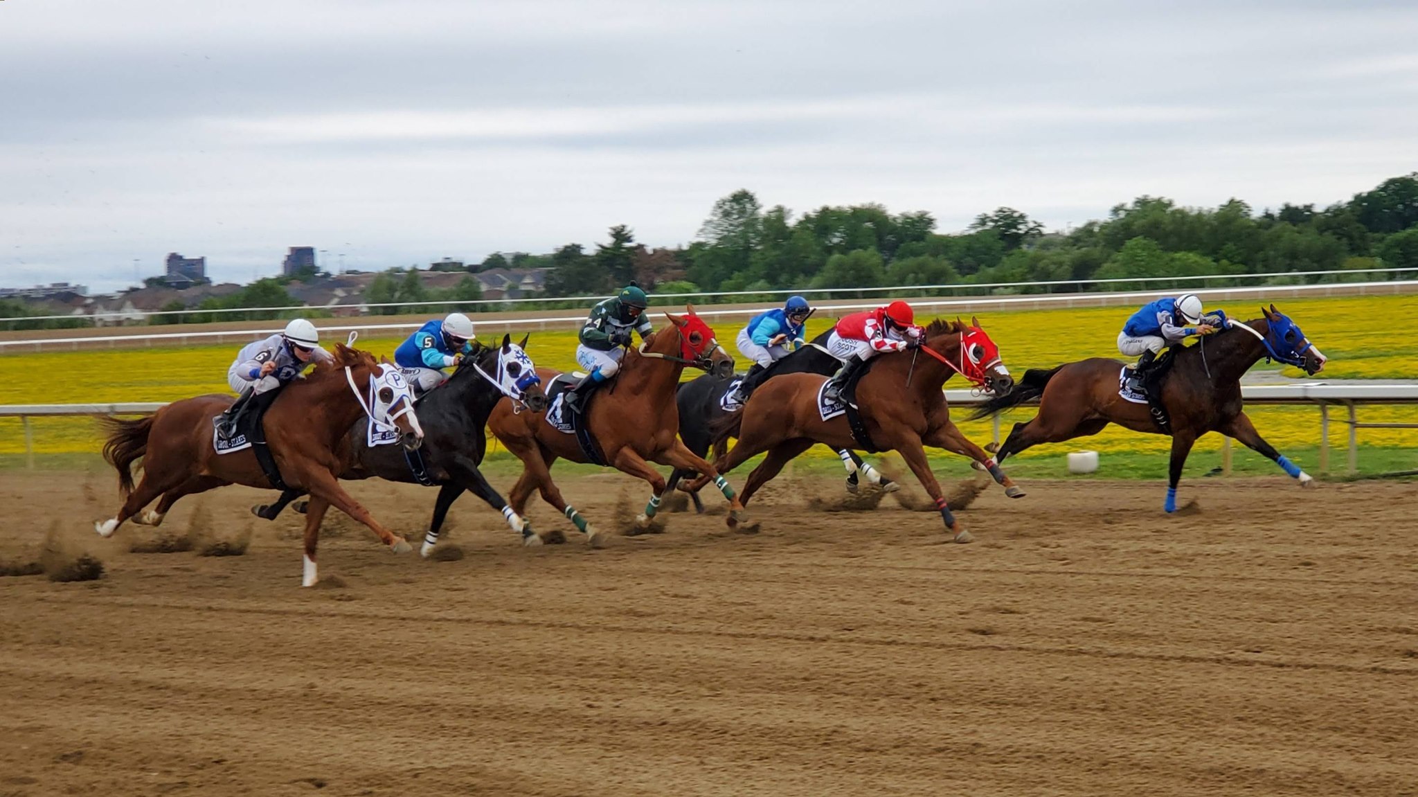 Firing Red Jess Tackles Nine Rivals in $42,120 Ontario Sires Stakes Maturity at Ajax Downs Wednesday