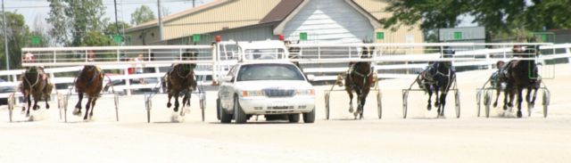 Mark Austin Pacing Series Final set for July 23 at Dresden