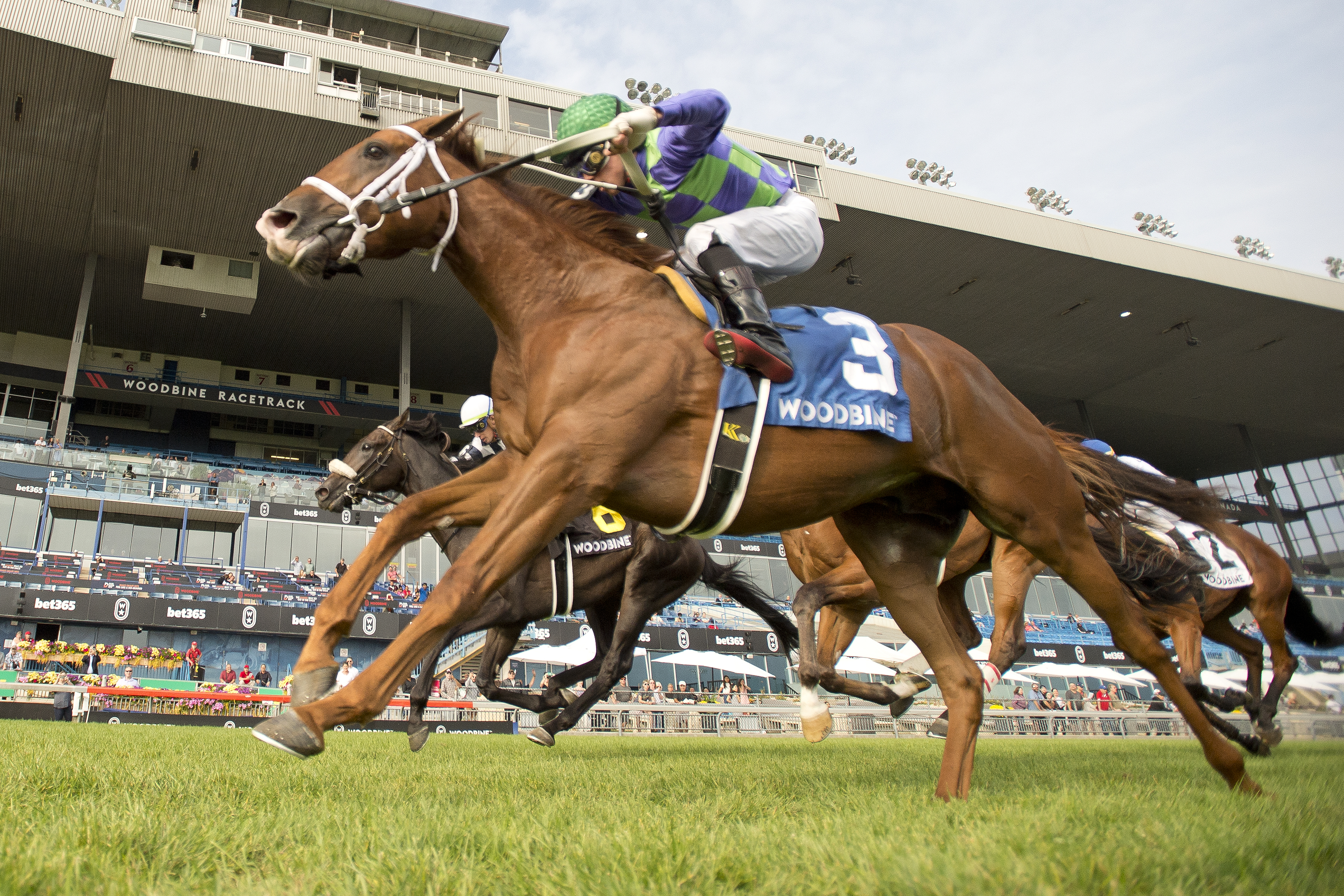 Zippy Gizmo Rallies Late to Take Bull Page