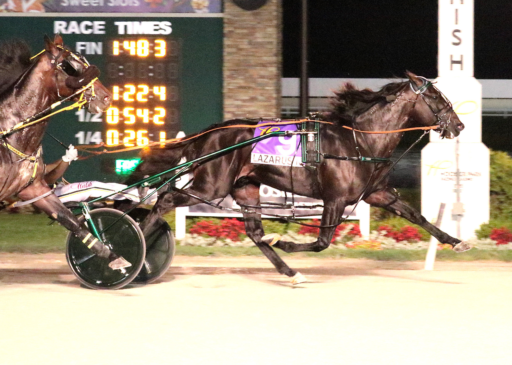 Lazarus N headlines field of 10 for Canadian Pacing Derby