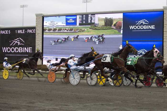 Woodbine announces Winter Series