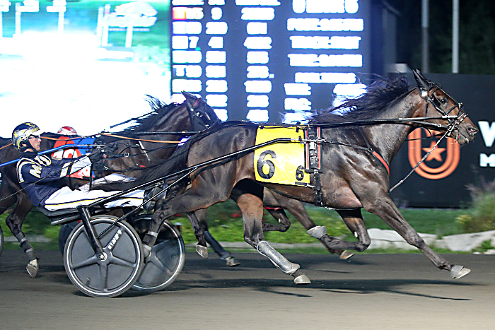Star Power Hanover steps into the Gold Series spotlight