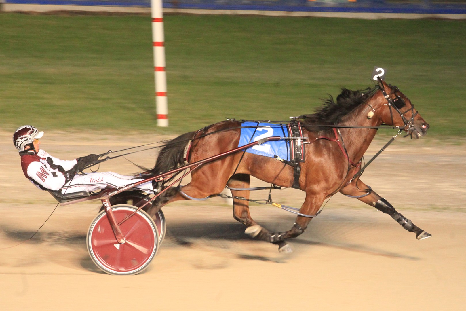 MacDonald and McNair pilot fillies to Gold glory in Elora