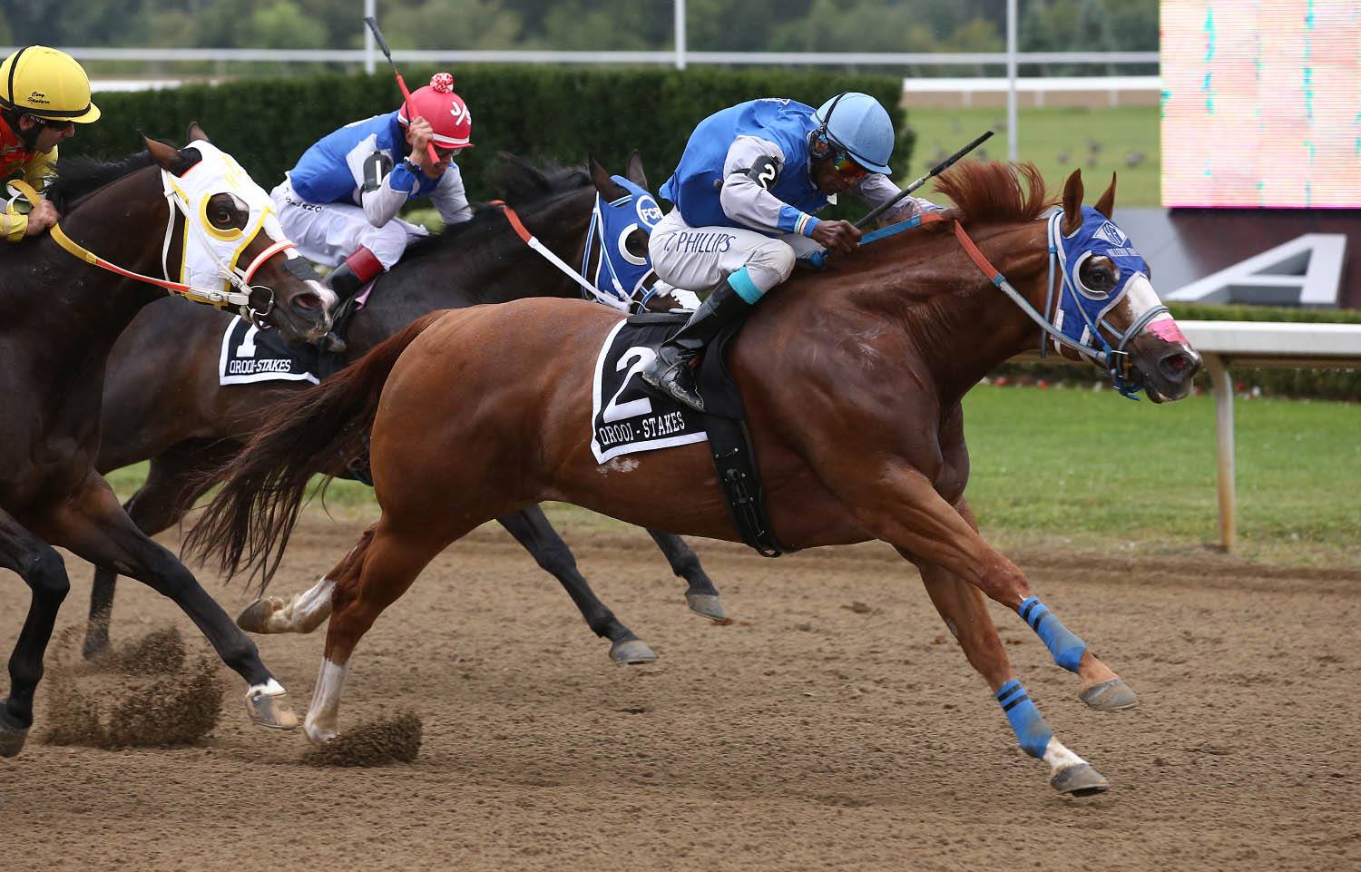 The Return of One Famous Glass/ Get Rewarded For Betting on Ajax Downs ...