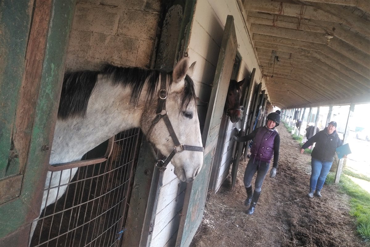 Fort Erie Race Track Open for Training