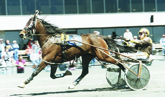 In 1997 one of the top sophomores was Armbro Plato, a trotting colt sired by the great sire Balanced Image, out of Armbro Inspiration, a Dream Of Glory mare, bred by Armstrong Bros.