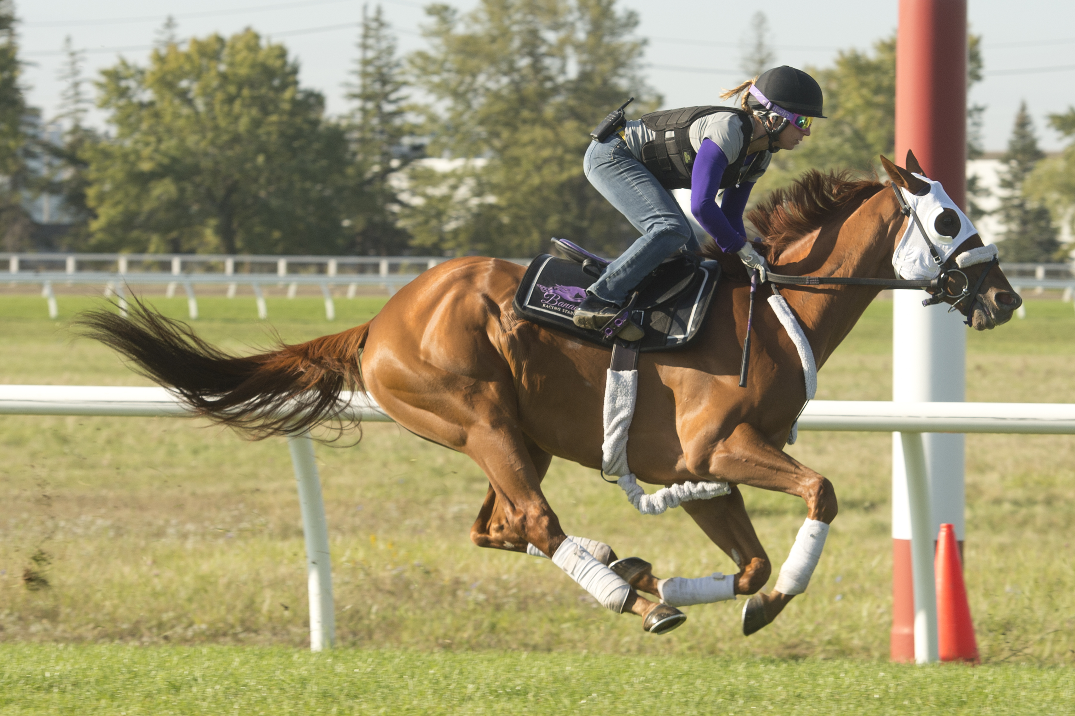 Canadian International (G1T) Set for this Sunday at Woodbine