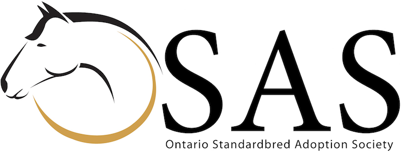 OSAS Unveils New Website & Logo