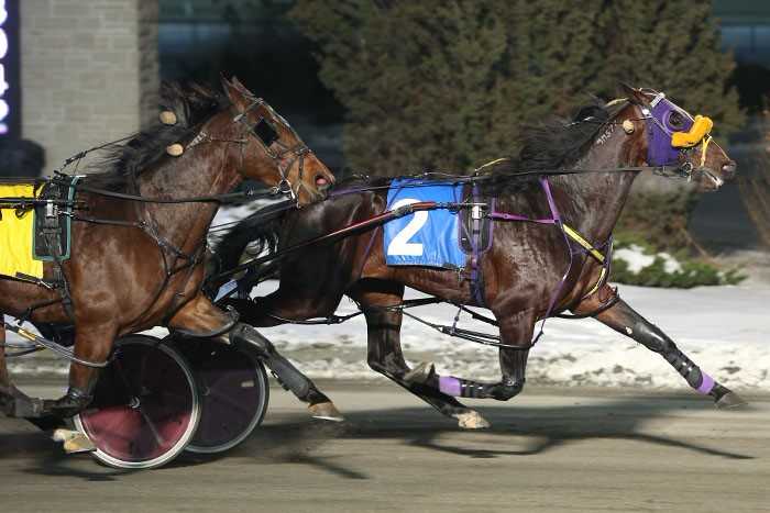 Quartet of Snowshoe divisions contested