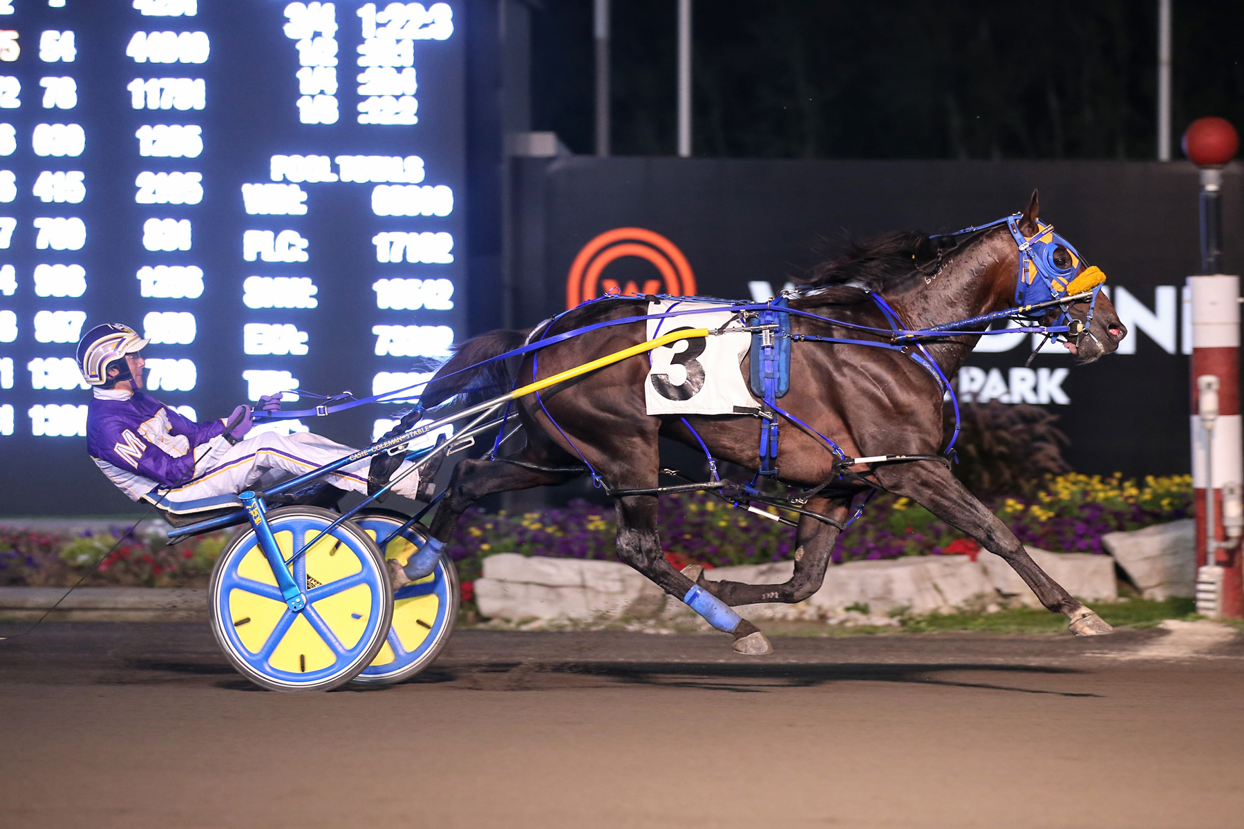 Harness racing breeders crown 2018 schedule