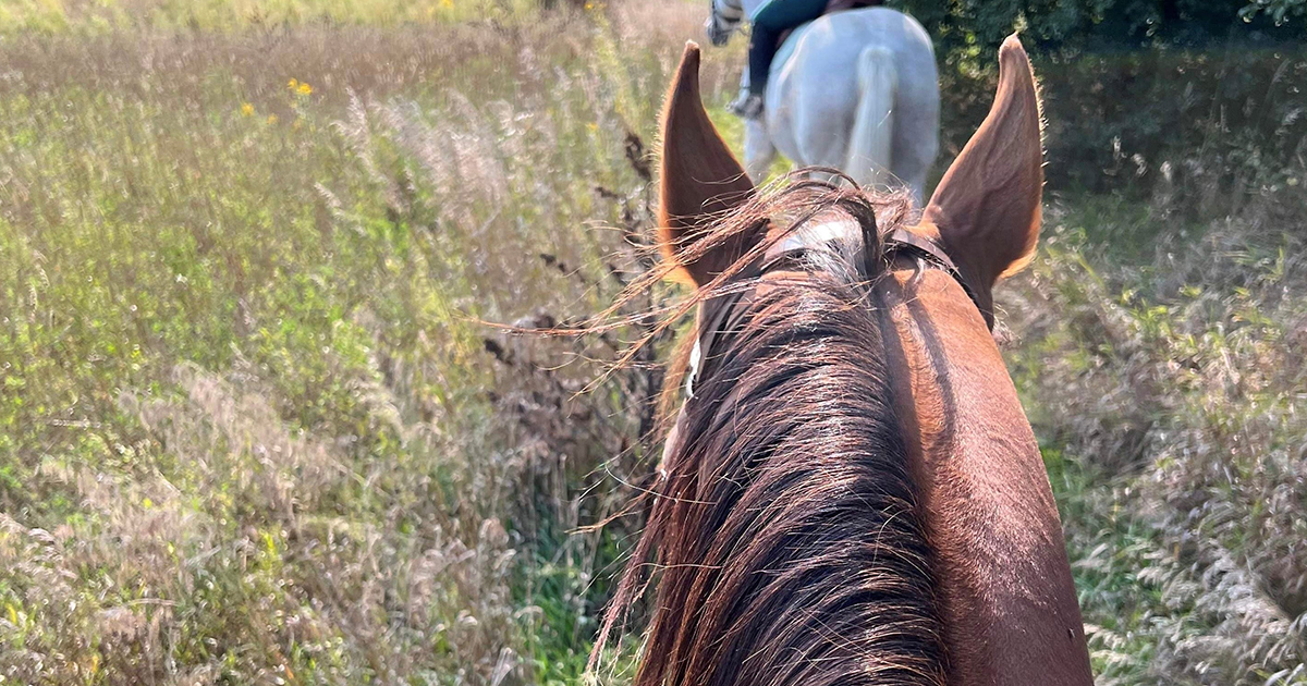 LongRun Grad Florida Won Makes Every Day a Good One