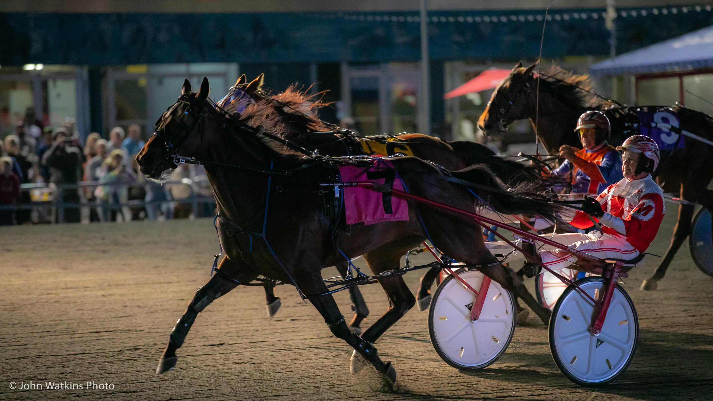 Parkinson says lucrative OSS program continues to make Ontario horses a great investment