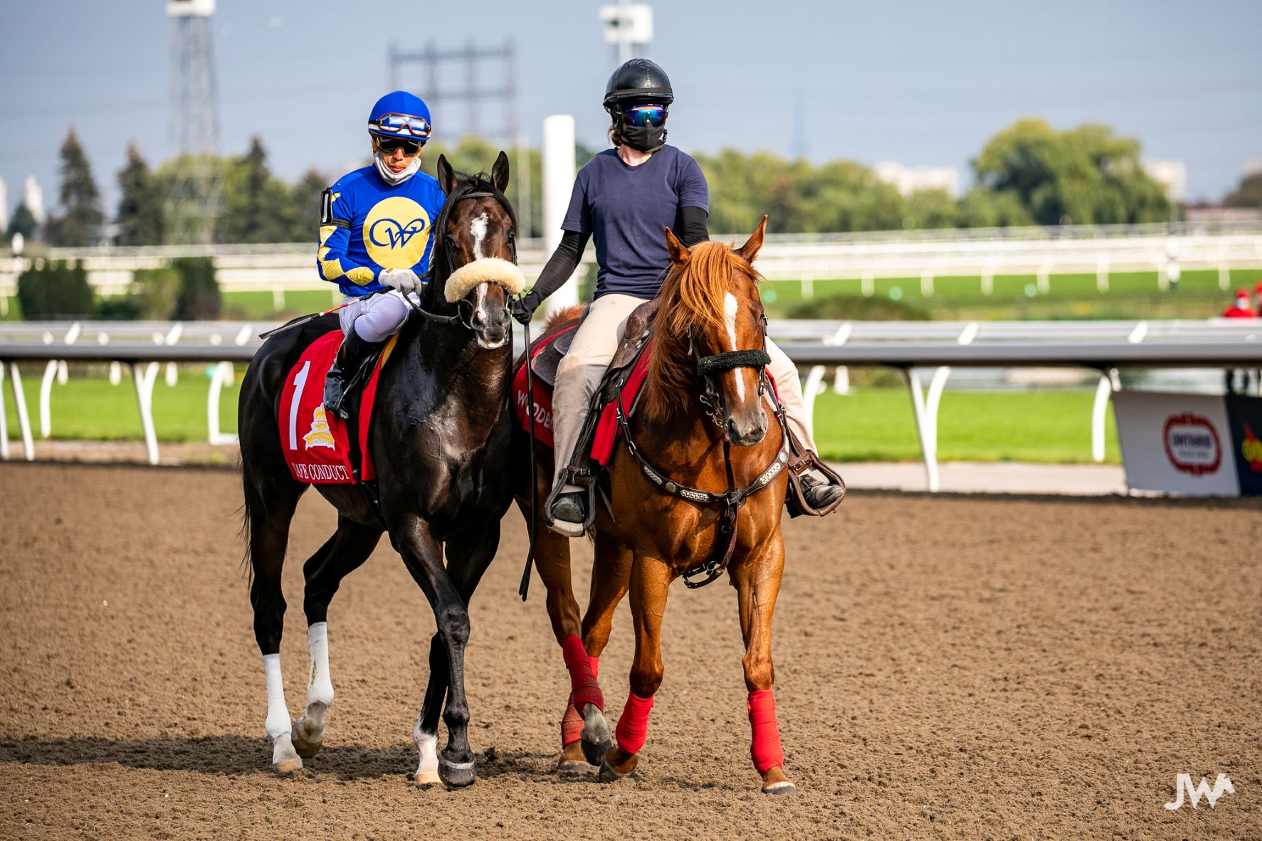 Jennifer Morrison’s Woodbine Thoroughbred Selections: Thursday, November 25, 2021