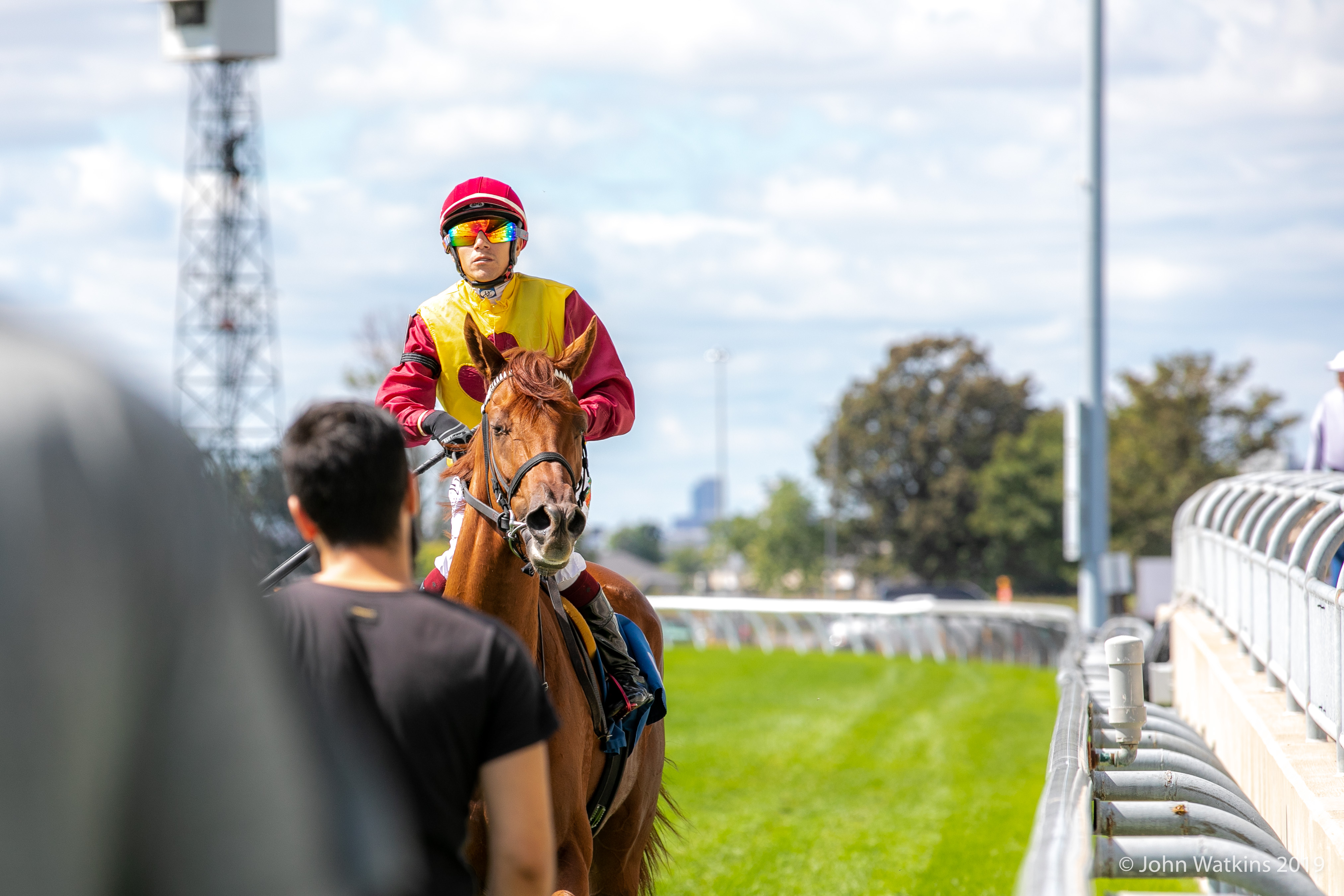 Jennifer Morrison’s Woodbine Thoroughbred Selections: Friday, August 28, 2020