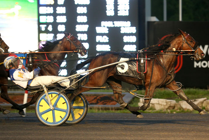 Steacy strikes early in defence of Johnston Cup title