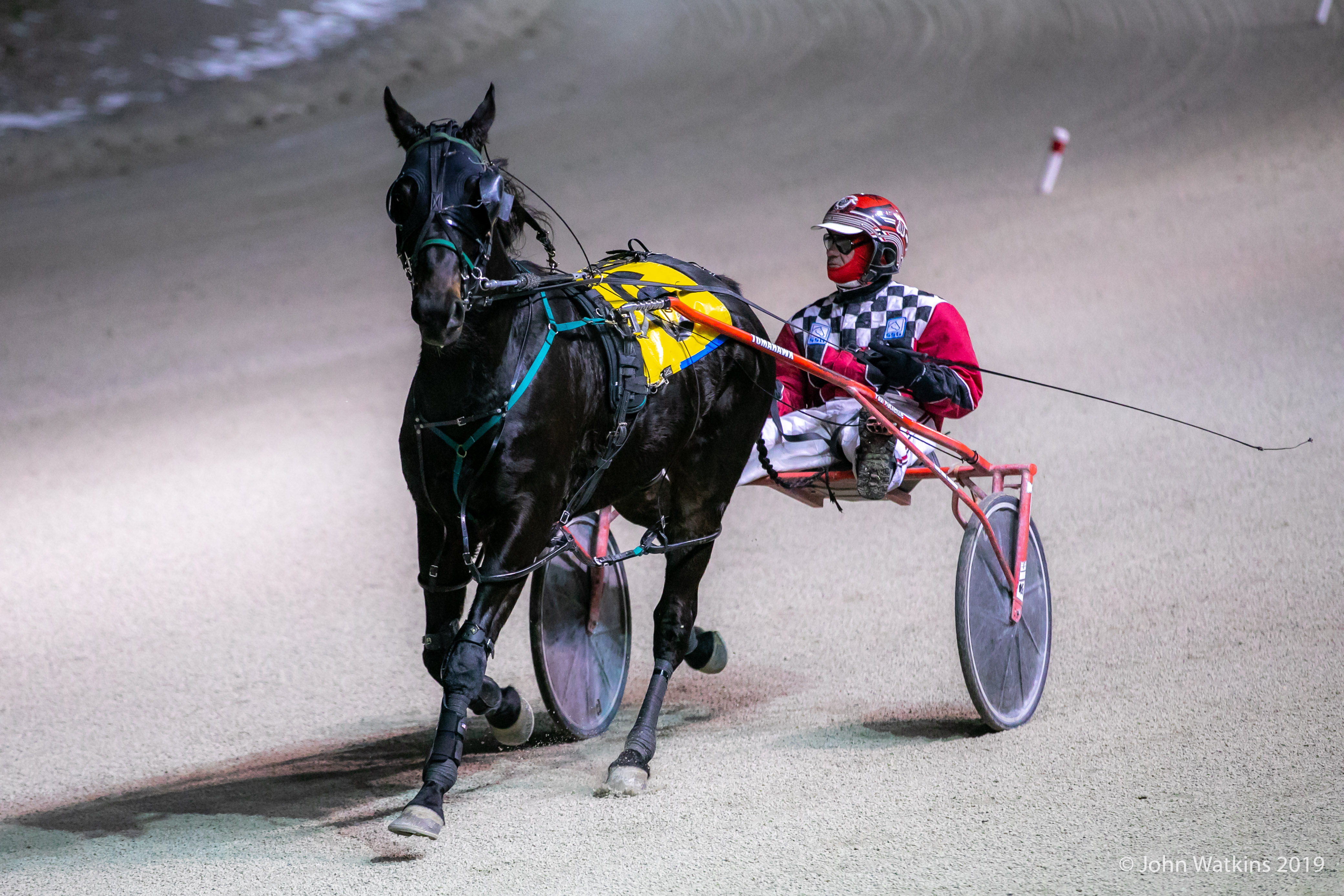 Garnet Barnsdale Western Fair Raceway Selections: Sunday, December 20, 2020