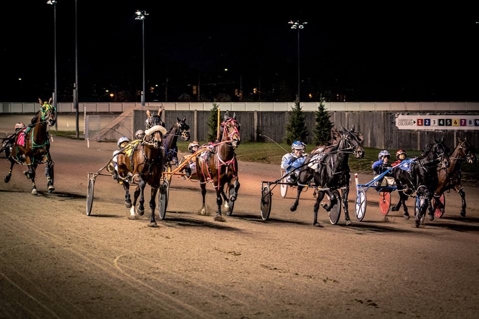 Melissa Keith’s Western Fair Selections: Wednesday, October 14, 2020