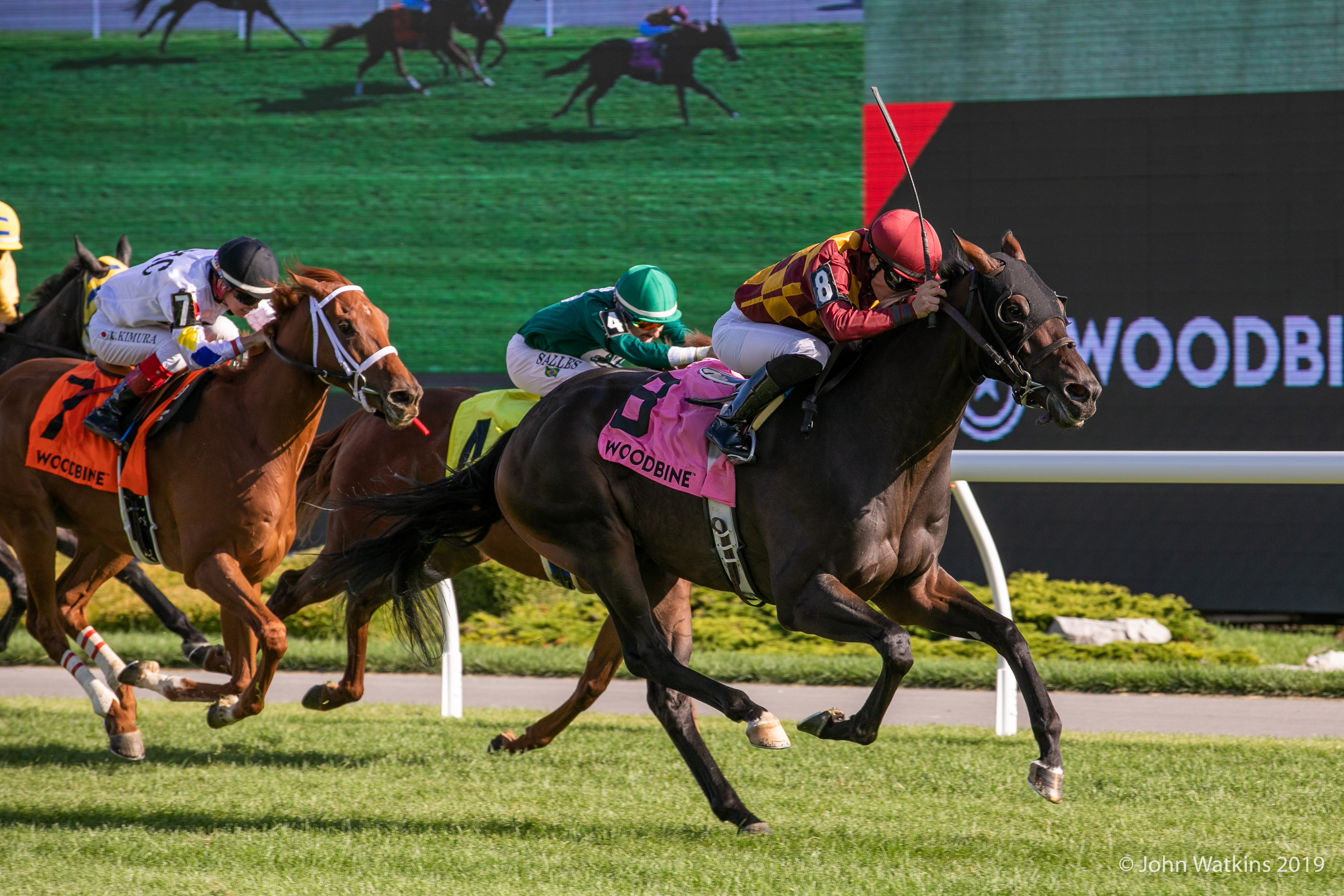 Jennifer Morrison’s Woodbine Thoroughbred Selections: Thursday, August 20, 2020