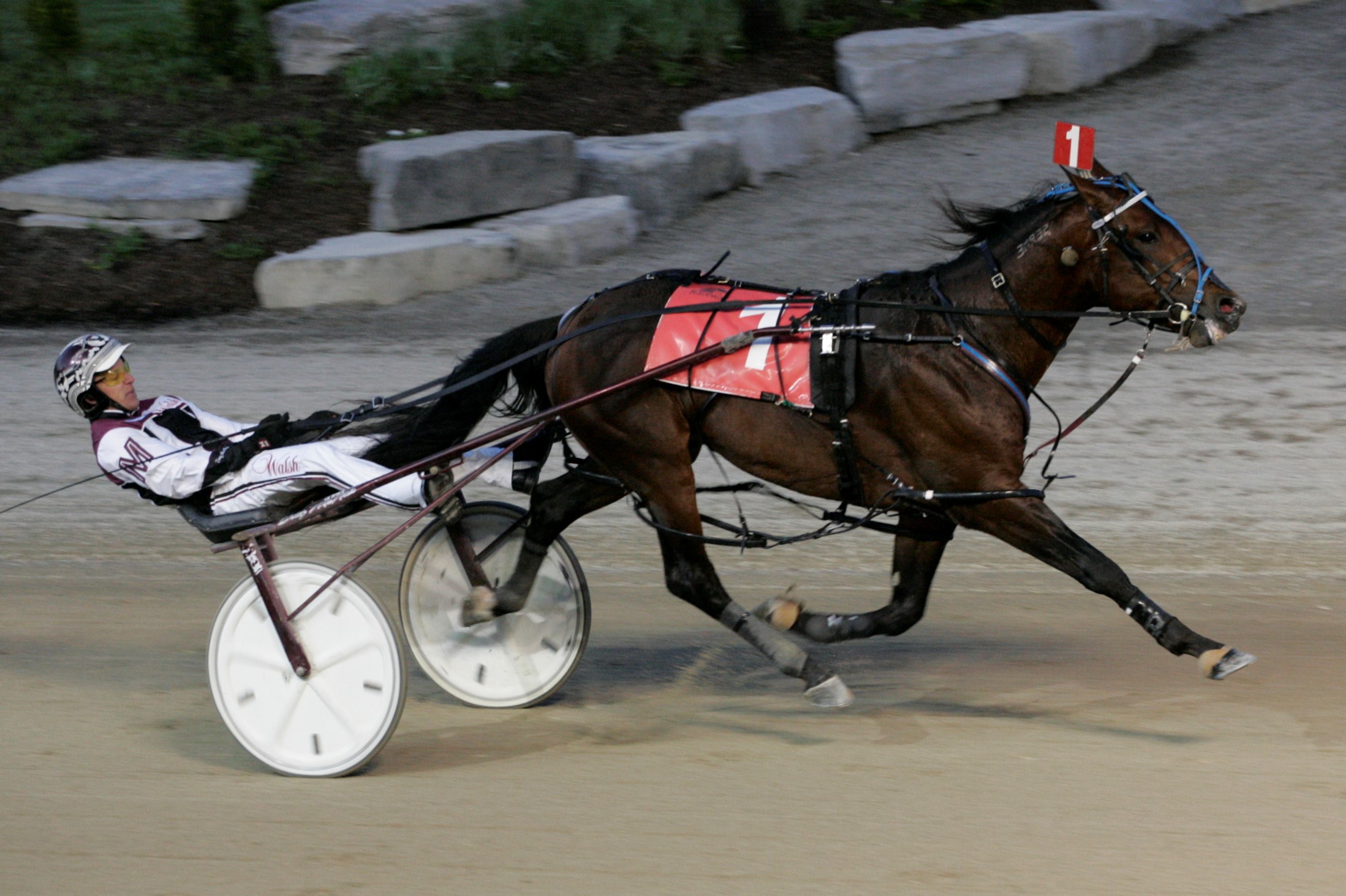 Happy Trio’s owners on cloud nine after Gold win in London 