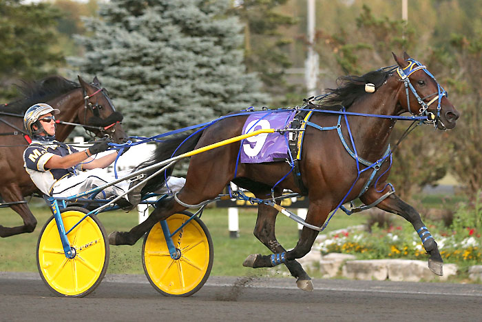 Springbridge Duel and Desperate Man repeat in Gold action