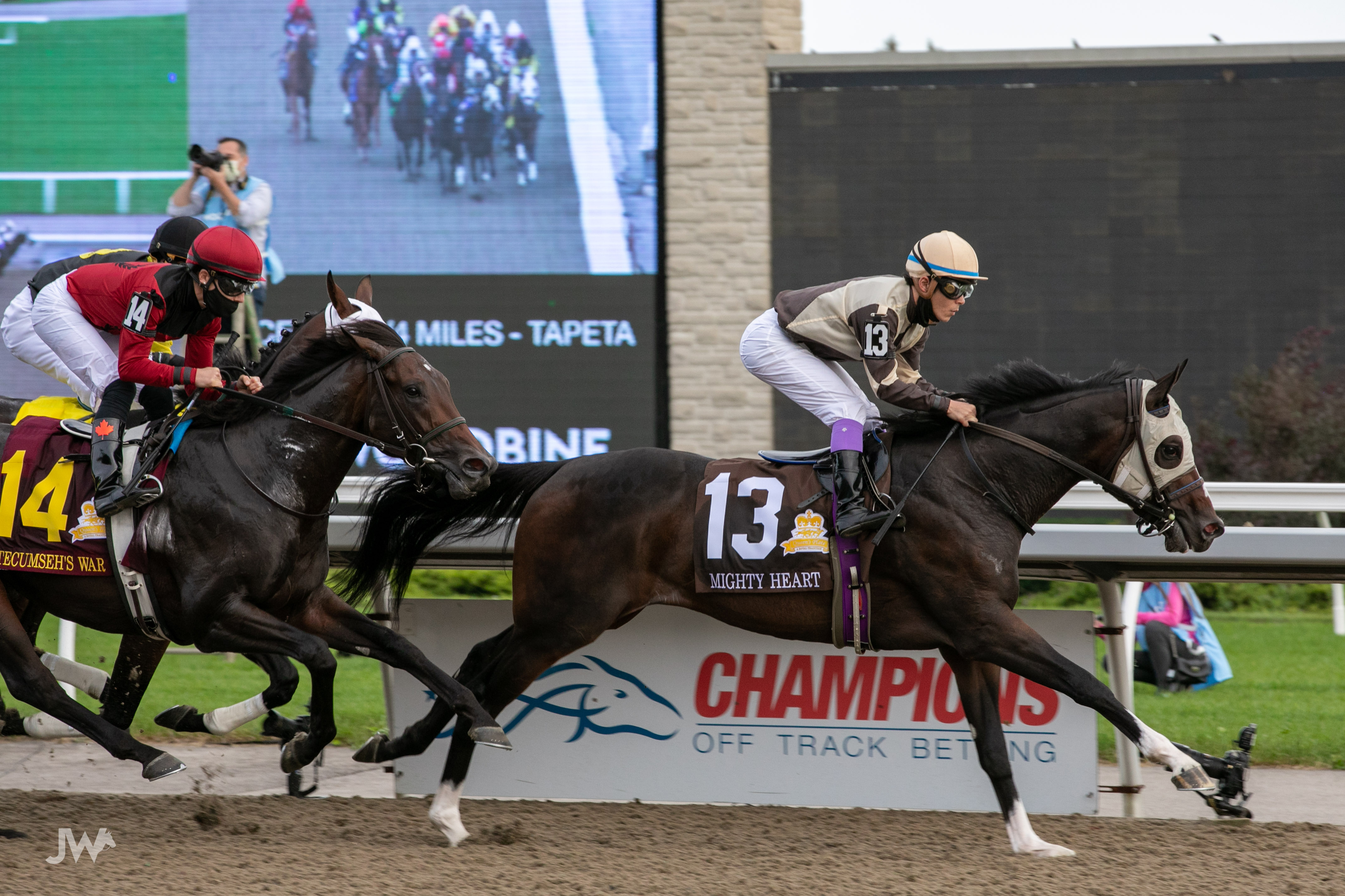 Ontario Racing’s Mare Purchase Program delivers top-tier bonus and incentives for Thoroughbred owners and breeders