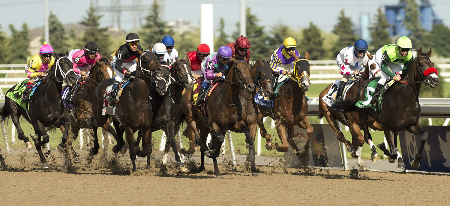 Woodbine 2020 Thoroughbred Stakes Schedule Finalized Ontario Racing