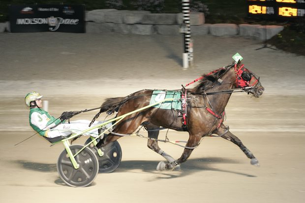 Pacing colts put on speed show in OSS opener