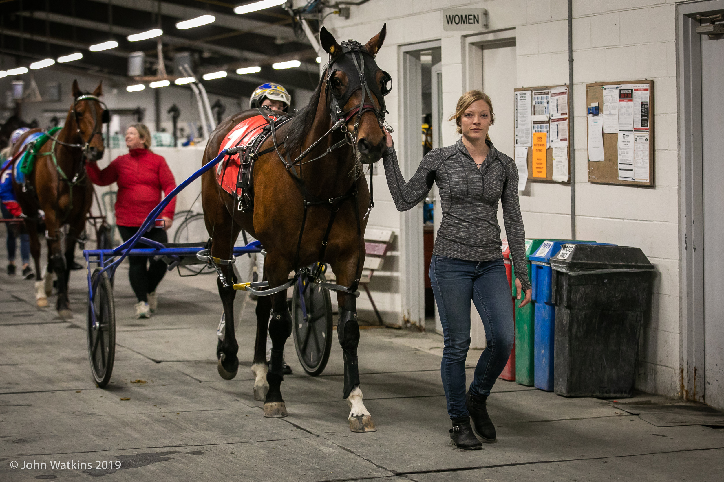 Michelle Olson: An iron-willed love of horses, horse racing