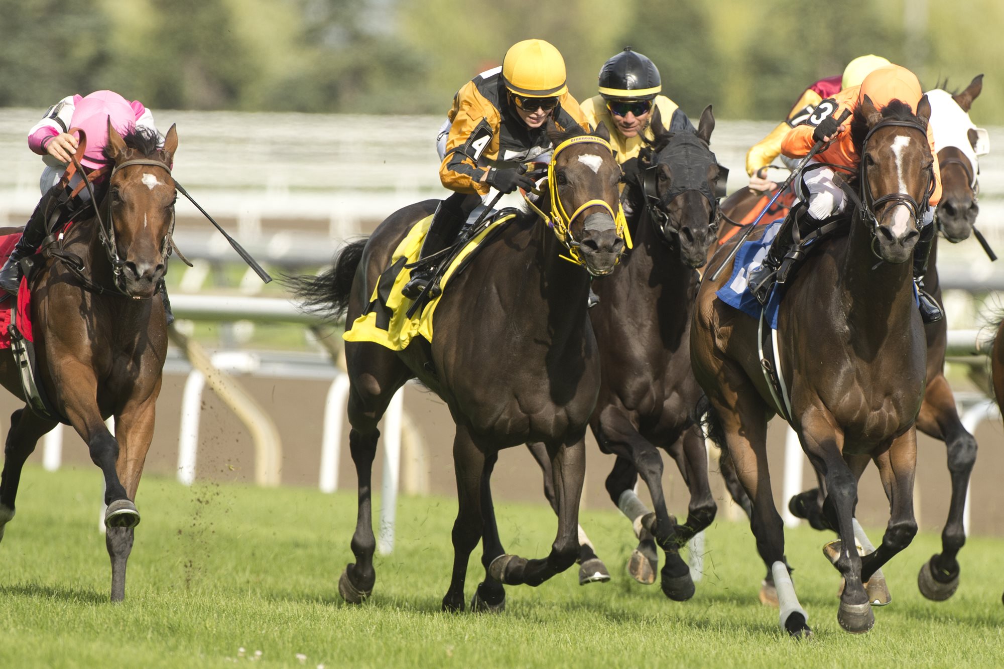 Handicapping Tip: Looking at Recent Trips